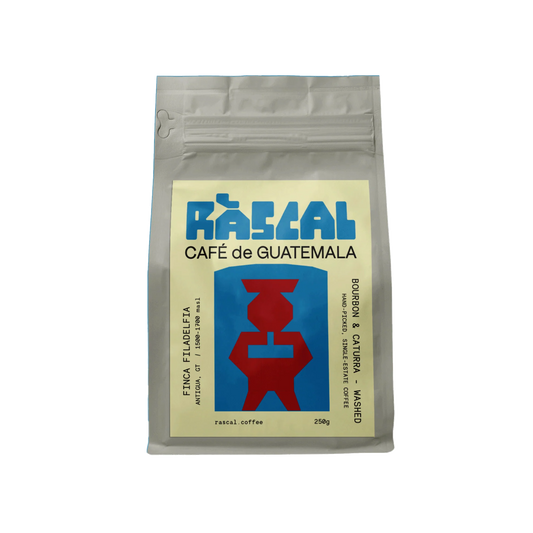 Finca Filadelfia - Bourbon & Caturra - Washed Guatemalan Coffee