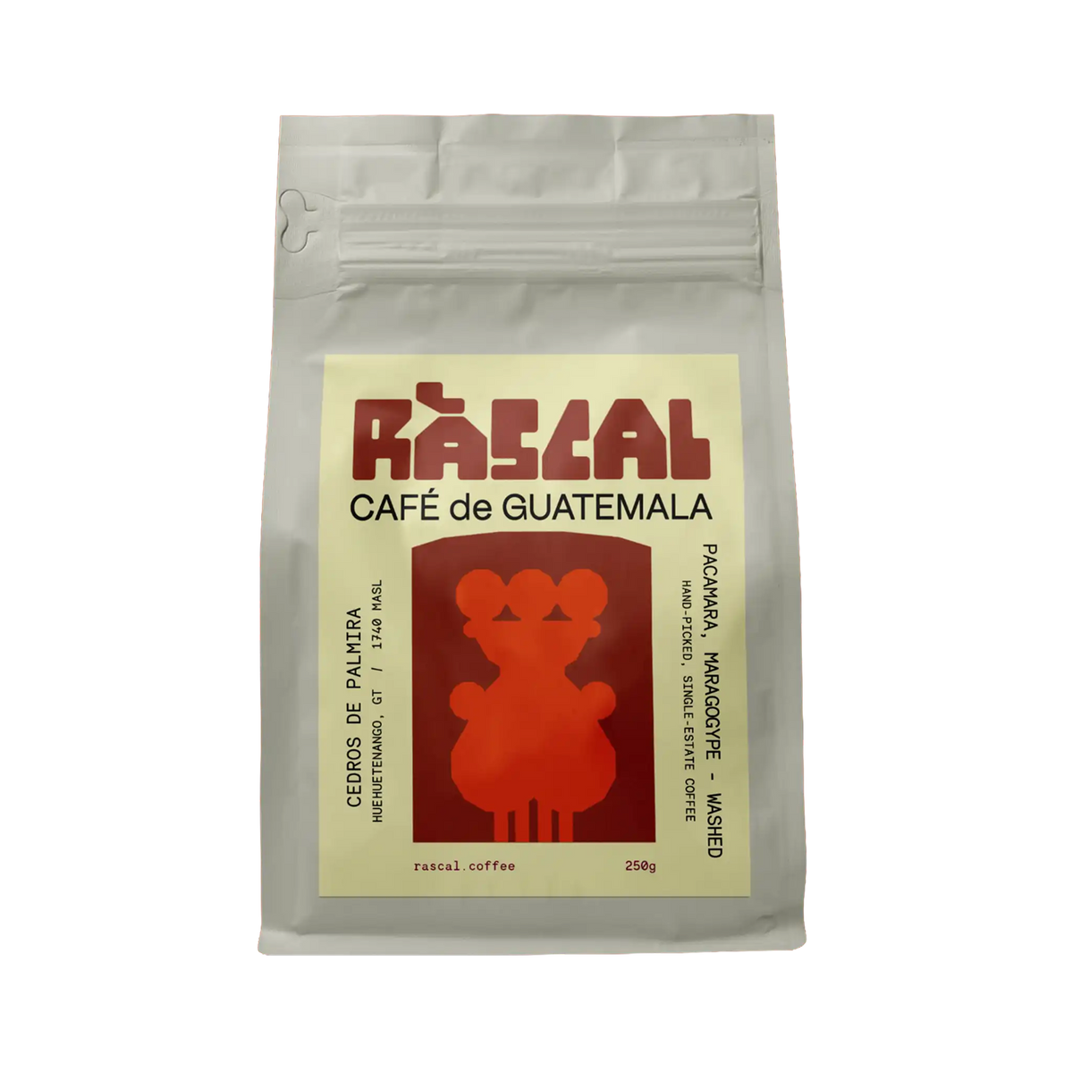Los Cedros de Palmira Guatemalan Coffee