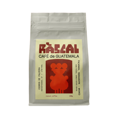 Los Cedros de Palmira Guatemalan Coffee