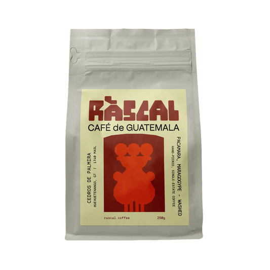 Los Cedros de Palmira Guatemalan Coffee