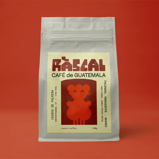 Los Cedros de Palmira Guatemalan Coffee
