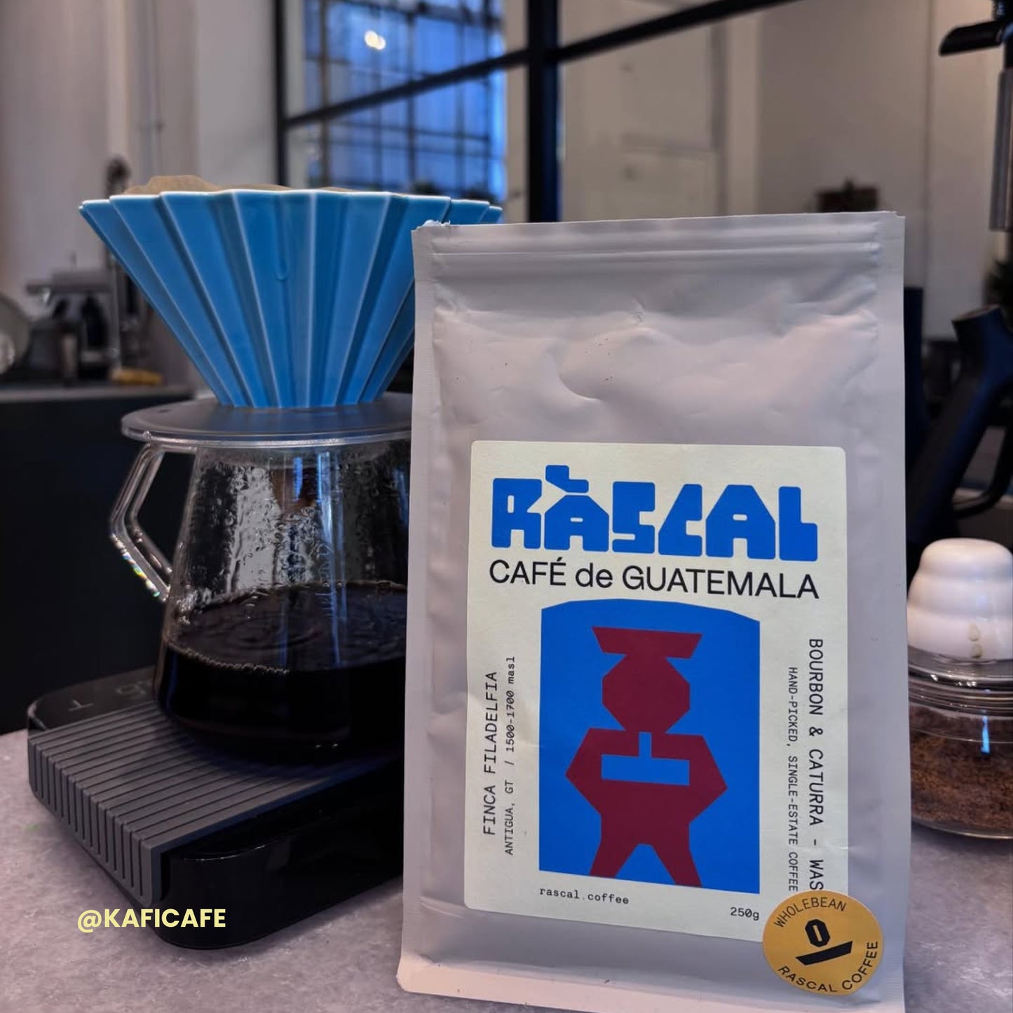Finca Filadelfia - Bourbon & Caturra - Washed Guatemalan Coffee