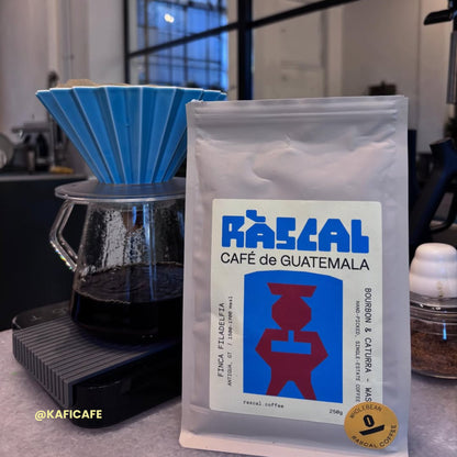 Finca Filadelfia - Bourbon & Caturra - Washed Guatemalan Coffee