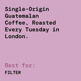 Finca Santa Irene - Bourbon Sidra - Natural Guatemalan Coffee
