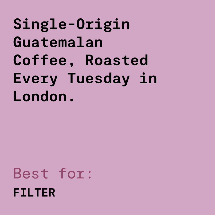 Finca Santa Irene - Bourbon Sidra - Natural Guatemalan Coffee