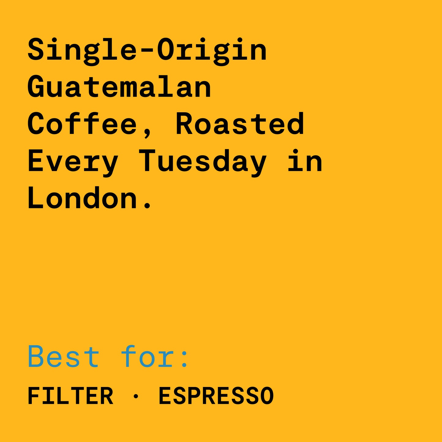 Finca Filadelfia - Bourbon & Caturra - Washed Guatemalan Coffee
