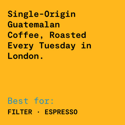 Finca Filadelfia - Bourbon & Caturra - Washed Guatemalan Coffee