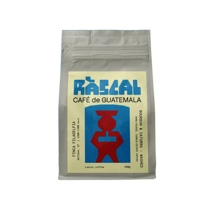 The Filadelfia Trio Guatemalan coffee gift set
