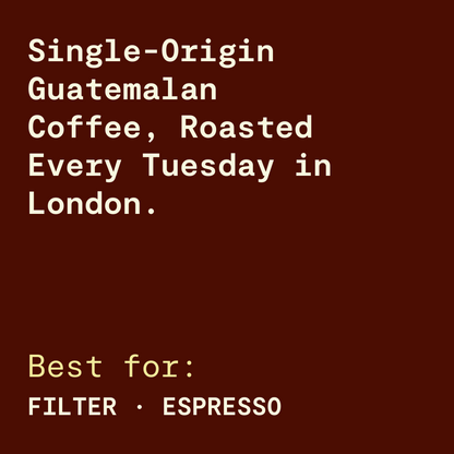 Los Cedros de Palmira Guatemalan Coffee