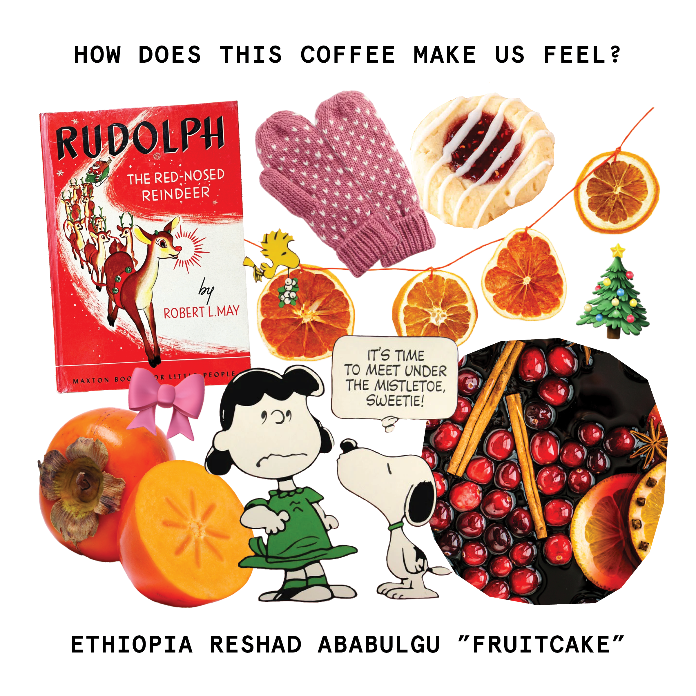 Fruitcake 2024 Christmas Ethiopian Natural Coffee