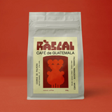 Los Cedros de Palmira Guatemalan Coffee