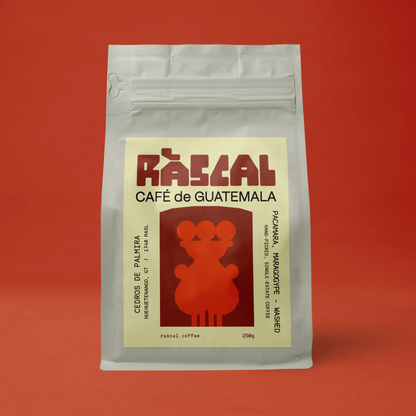 Los Cedros de Palmira Guatemalan Coffee
