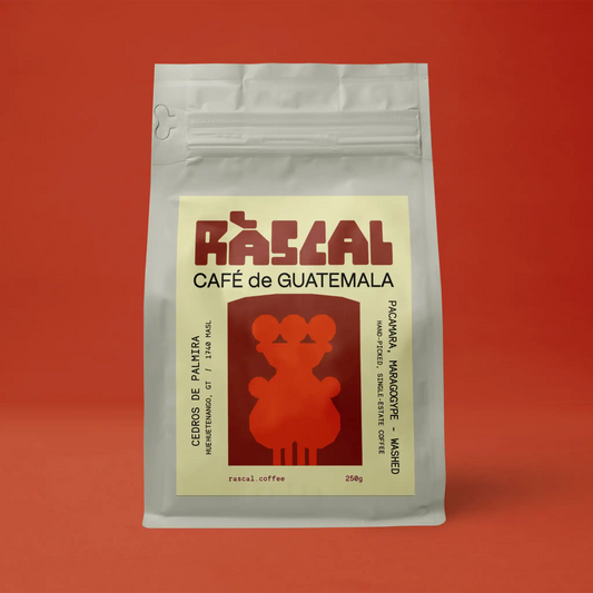 Los Cedros de Palmira Guatemalan Coffee