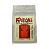 Los Cedros de Palmira Guatemalan Coffee