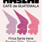 Finca Santa Irene - Bourbon Sidra - Natural Guatemalan Coffee
