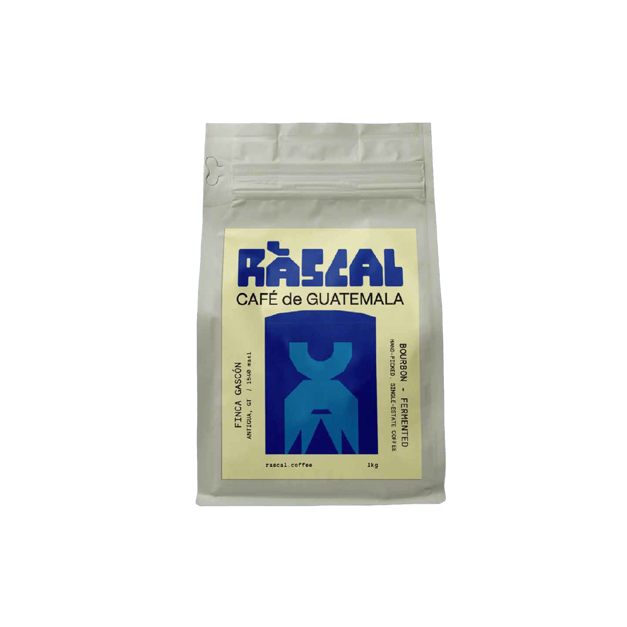 Finca Gascón - Bourbon - Fermented Washed Guatemalan Coffee - Rascal Coffee