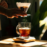 Finca La Esperanza - Pacamara - Washed Guatemalan Coffee